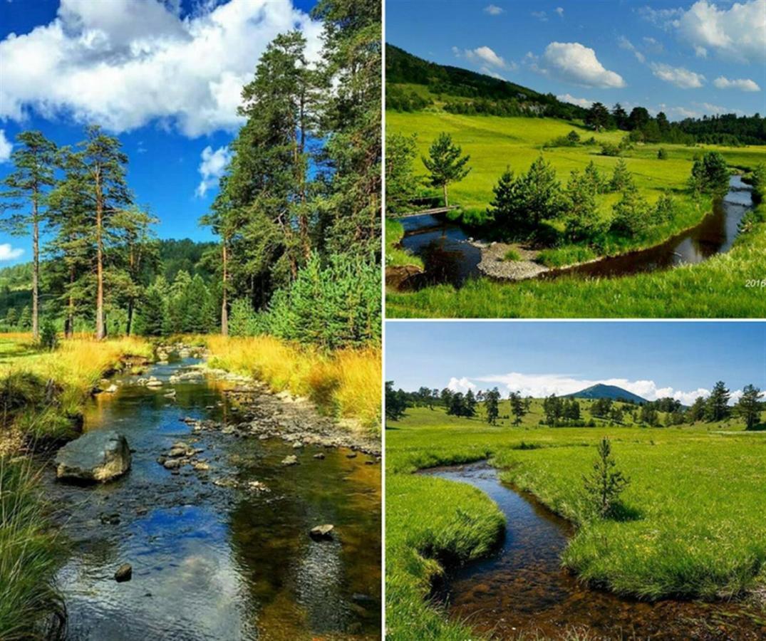 Centar! Lara Zlatibor Daire Dış mekan fotoğraf